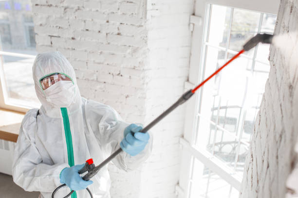 Best Mold Prevention Services  in Little Silver, NJ