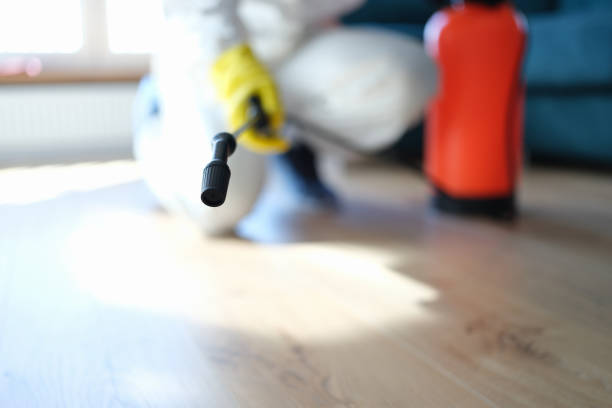 Best Real Estate Mold Inspection  in Little Silver, NJ
