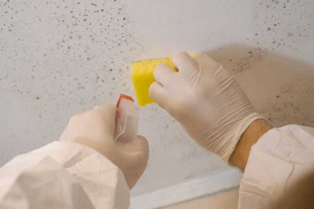 Dehumidification Services in Little Silver, NJ